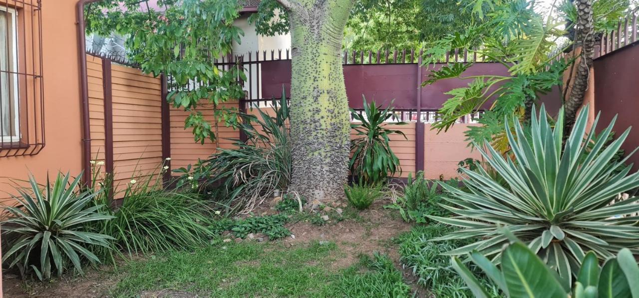 My House Guest House Pretoria-Noord Exterior foto