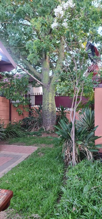 My House Guest House Pretoria-Noord Exterior foto