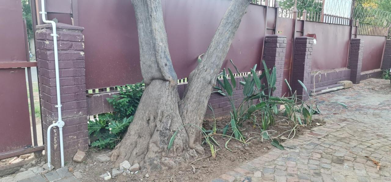 My House Guest House Pretoria-Noord Exterior foto
